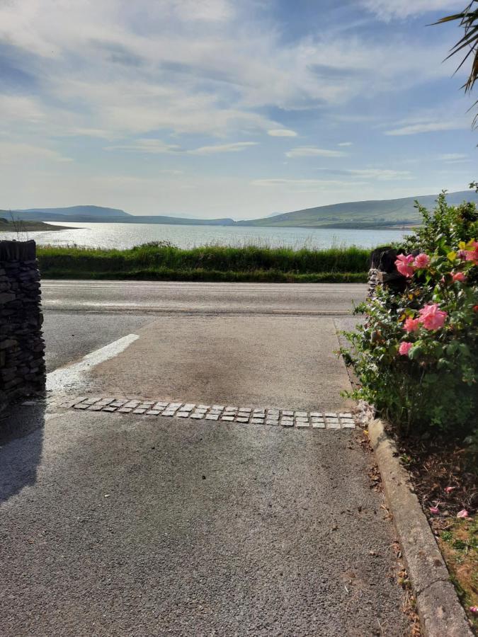 Green Garden Meets Blue Sea For 2 People Dingle Kültér fotó